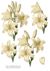 White Lily Decoupage