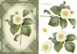 Cream Flower Card Front