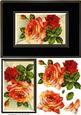 Watercolour Roses Quick Card