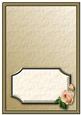 Cream Roses Insert