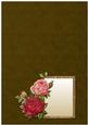 Striking Vintage Girl with Autumn Roses Insert