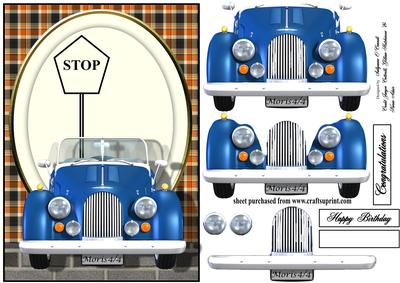 Step by Steps Blue Car Male
