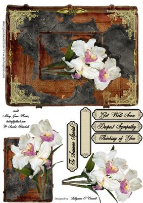Sympathy Card or Any Other Occasion