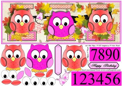 Girls Birthday Card or Any Occasion with Pink Owls