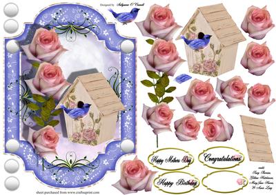 Female Birthday Card or Special Occasion