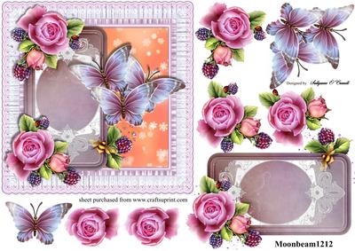 Butterflies Flowers Card Female