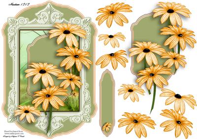 Sweet Floral for Any Occasion