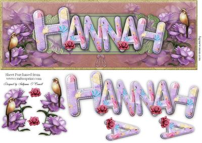 Large Dl Name Card Hannah