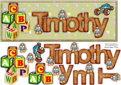 Large Dl Name Card Timothy