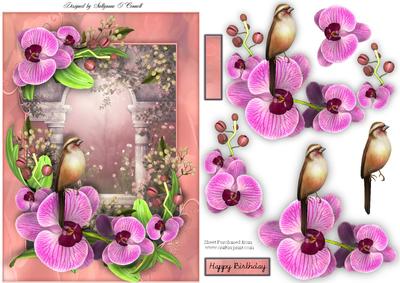 Orchid Bird Female Card for Any Occasion