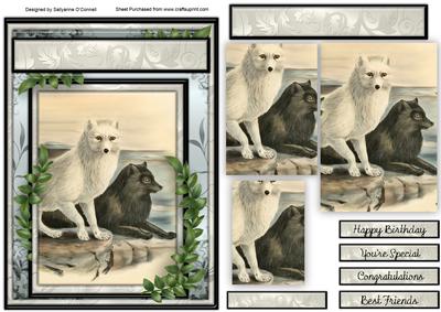 Foxes Male Card
