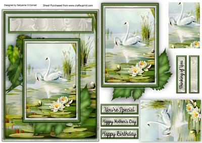 Peaceful Swans Female Card