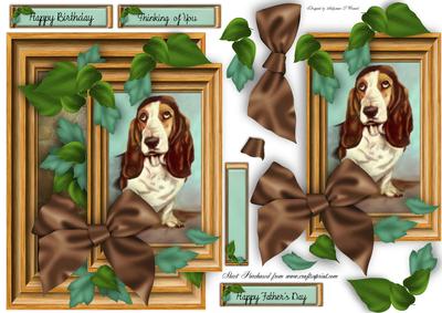 My Basset Hound Friend