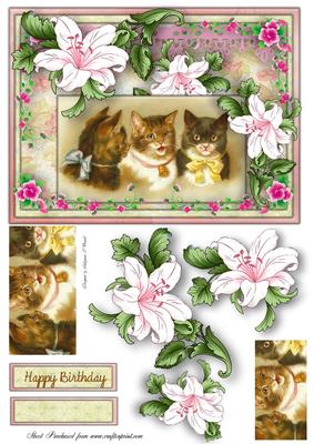 My Pussy Cats