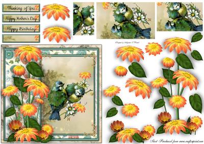 Sweet as a Tweet Female Card
