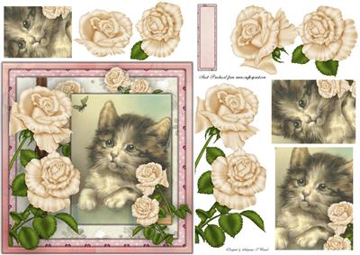Delightful Cat Female Card