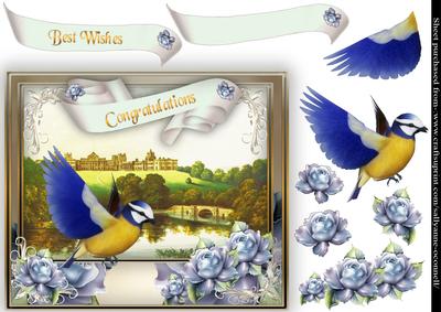 Bluebird with Country Scene