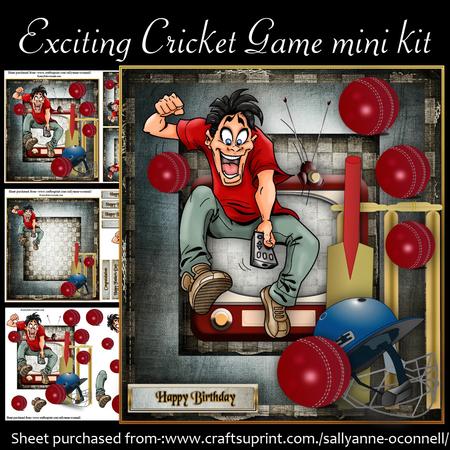 Exciting Cricket Game Mini Kit