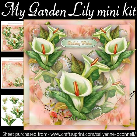My Garden Lily Mini Kit