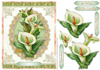 Lillies