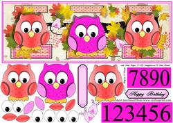 Girls Birthday Card or Any Occasion with Pink Owls