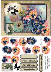 Oriental Pansy Card Female