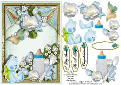 New Baby Boy