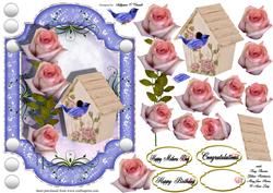 Female Birthday Card or Special Occasion