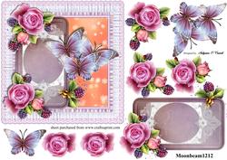 Butterflies Flowers Card Female