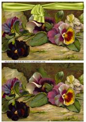 Pansy x 2 Quick Cards