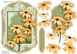 Sweet Floral for Any Occasion