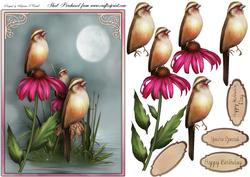 Beauty Female Card