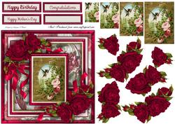 My Garden of Roses