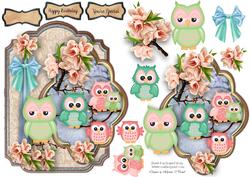 Loving Little Owls