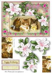 My Pussy Cats