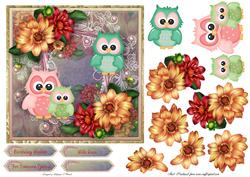 Owl Surprise