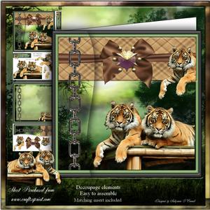 Relaxing Tigers