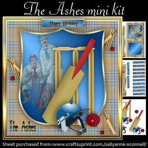 Cricket Mini Kit