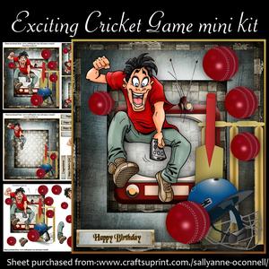 Exciting Cricket Game Mini Kit