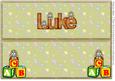 Insert Large Dl Name Card Luke