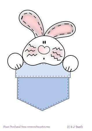 Bunny in a Blue Pocket