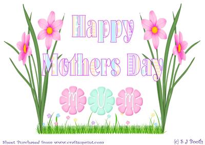 Large Mothers Day Flowers