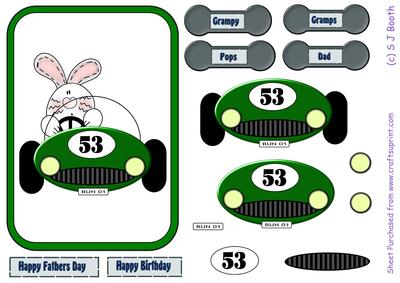 Bunny in Green Car Fathers Day/birthday