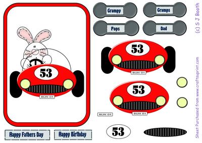 Bunny in Red Car Fathers Day/birthday