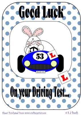Bunny in Car Good Luck on Driving Test - Blue