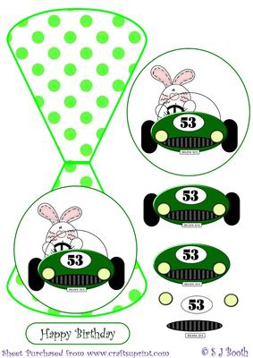 Bunny in a Green Racing Car