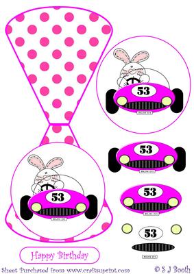 Bunny in a Pink Racing Car