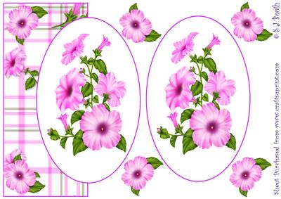 Pink Petunia