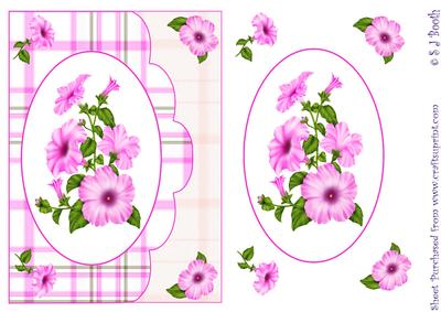 Pink Petunia Scalloped