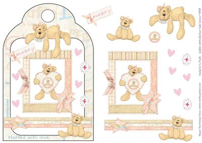 Baby Bear Its a Girl